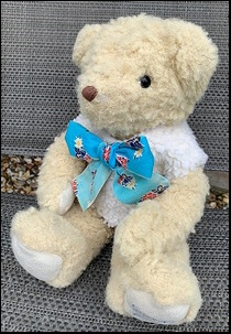 Chloe G.'s Teddy after treatment