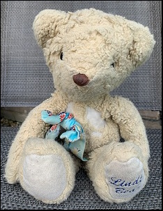 Chloe G.'s Teddy before treatment