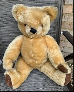 Emily B.'s Bear before treatment