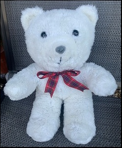 Emily S.'s Snowy Bear after treatment