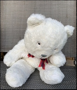 Emily S.'s Snowy Bear before treatment