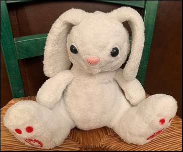 Holly G.'s bunny after treatment