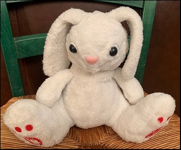 Holly G.'s bunny after treatment
