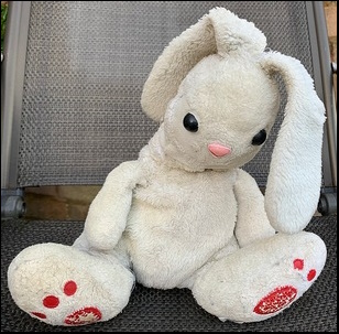 Holly G.'s bunny before treatment