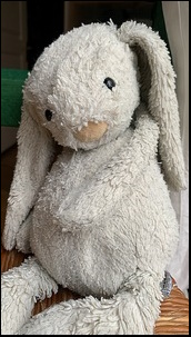 Kathleen M.'s bunny after treatment