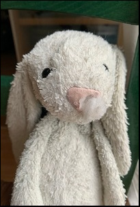 Kathleen M.'s bunny before treatment