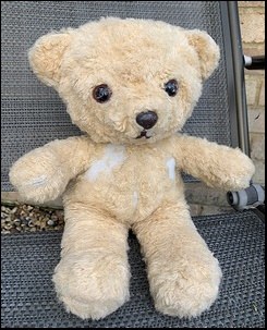 Keri T.'s Teddy after treatment