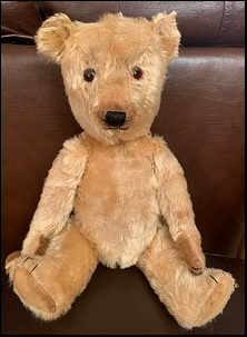 Martin's Teddy after treatment