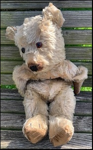 Martin's Teddy before treatment