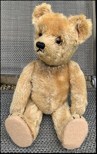 Nat F.'s Teddy after treatment