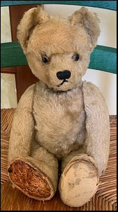 Nat F.'s Teddy before treatment