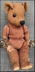 Sally B.'s Brown Bear before treatment