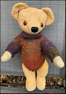 Andy C.'s Teddy wearing his new jumper