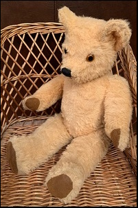 Anne Marie S.'s Ted after treatment