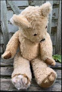 Anne Marie S.'s Ted before treatment