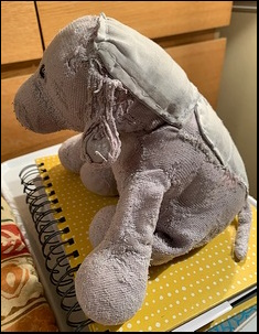 Anna S.'s Piggy before treatment
