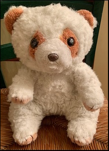 Bernie W.'s Nigel after treatment