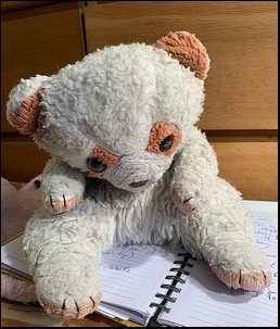 Bernie W.'s Nigel before treatment