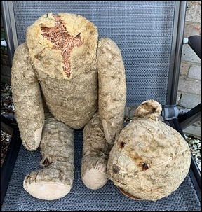 Cathy A.'s Beary before treatment