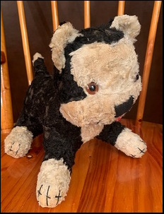Cathy A.'s William after treatment
