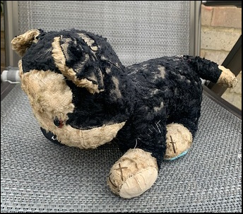 Cathy A.'s William before treatment