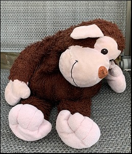 Charlotte G.-C.'s Monkey before treatment