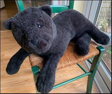 Charlotte G.-C.'s Panther after treatment