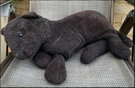 Charlotte G.-C.'s Panther before treatment