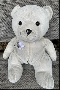 Charlie H.'s Cream Teddy before treatment