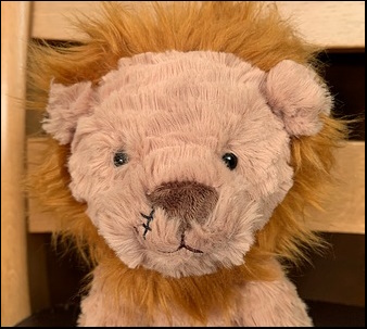 Cat S.'s Teddy Lion