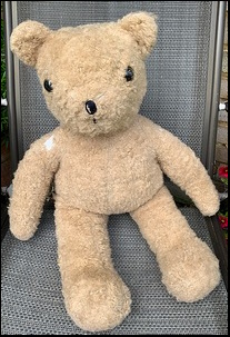 Carly W.'s Teddy after treatment Carly W.'s Teddy after treatment