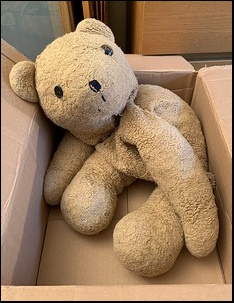 Carly W.'s Teddy on arrival