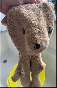 Carly W.'s Teddy unstuffed Carly W.'s Teddy unstuffed