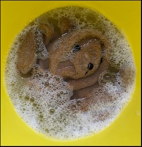 Carly W.'s Teddy in the wash
