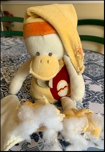 David W.'s Gideon before treatment