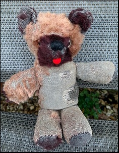 Harvey J.'s Teddy after treatment