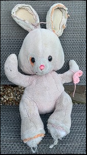 Eamon O'F.'s bunny before treatment