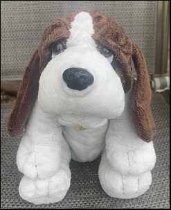 Francesca N.-A.'s Barnaby after treatment