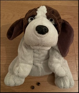 Francesca N.-A.'s Barnaby before treatment