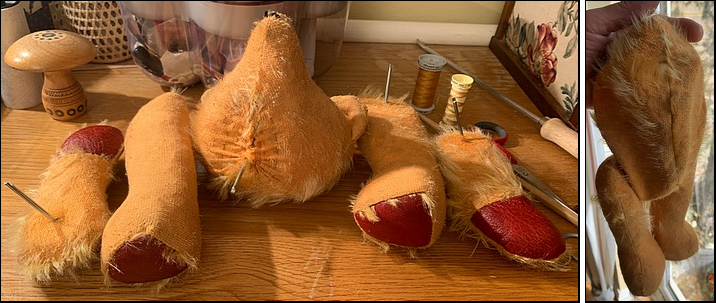 Gary C.'s Bear's treatment - getting there
