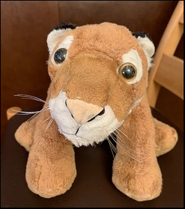 Gina C.'s Tiger after treatment