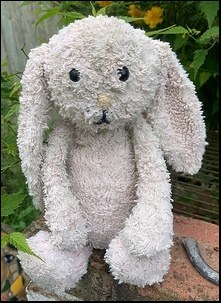 George F.'s Bunny after treatment George F.'s Bunny after treatment