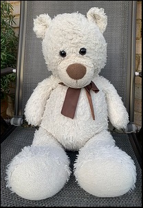 Harrison C.'s Teddy before treatment