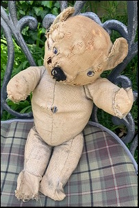 Heather R.'s Teddy before treatment Heather R.'s Teddy before treatment