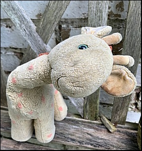 Jemima P.'s Jolly Tall before treatment