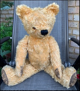 Jemima P.'s Ted after treatment