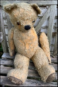 Jemima P.'s Ted before treatment