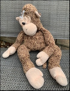 Jennifer T.'s Monkey before treatment