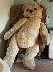 Katrina K.'s Bruin after treament Katrina K.'s Bruin after treament