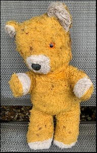 Karolina P.'s Teddy before treatment